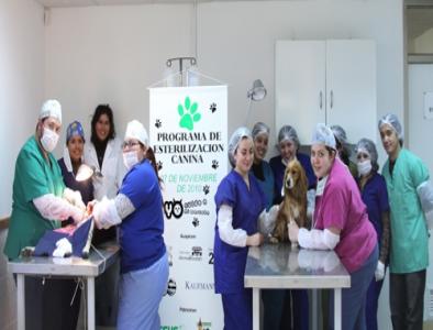 programas_sociales_esterilizacion.jpg